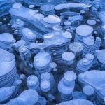 Frozen-air-bubbles-in-Abraham-Lake