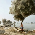 Spiderweb-cocooned-trees-in-Pakistan