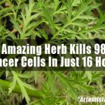 amazing-herb