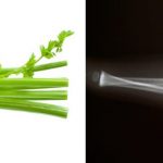 celery-bone