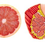 grapefruit